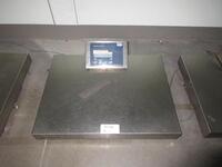 METTLER TOLEDO IND 429 STAINLES STEEL SCALE INDICATOR WITH METTLER TOLEDO STAINLESS STEEL 500 POUND CAPACITY WEIGHING PLATFORM (IN LAB 2)