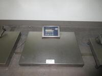 METTLER TOLEDO IND 429 STAINLES STEEL SCALE INDICATOR WITH METTLER TOLEDO STAINLESS STEEL 500 POUND CAPACITY WEIGHING PLATFORM (IN LAB 2)