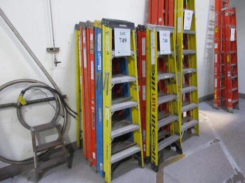 (5) 250 POUND CAPACITY 6' FIBERGLASS LADDER (JCM AREA)