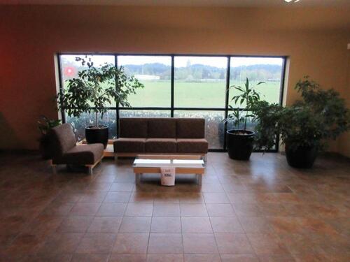L- SHAPE RECEPTION SOFA SET W/ COFFEE TABLE AND 6 PLANTS (OFFICE)