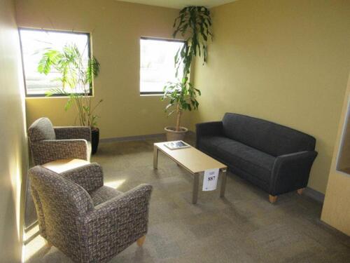 GREETIN ROOM SOFA W/ (2) SOFA CHAIRS COFFEE TABLE AND 2 PLANTS (OFFICE)