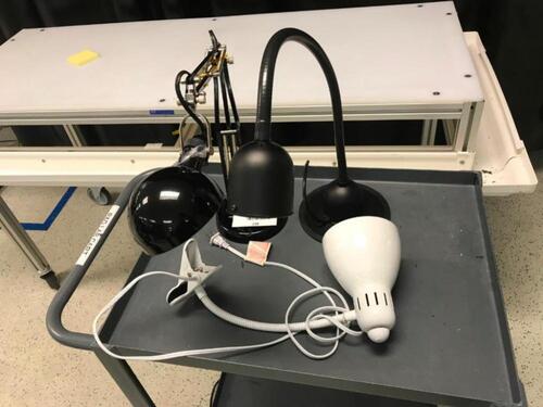 Lot of three (3) Assorted Lab Lampss/n Tag # Category: Location: