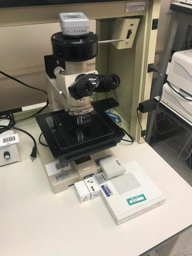 Nikon Nikon Optical Microscope, CFW 10x Eye Pieces, with PixeLINK Camera and Nikon Digital Sight Camera Systems/n59977 Tag # Category: Location: