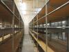 LOT (72) SECTIONS OF METAL SHELVING WITH WOOD SHELF'S, 30" WIDE - 2