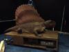 Dimetrodon, Scale, 1/1, Replacement Value, $52,000, Also comes with 1 Information Pedestal Current Location Sunrise, FL