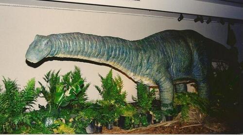 Apatosaurus adult, Scale 1/2, Replacement Value $74,000, Located in Knoxville TN, Also comes with Information Pedestal