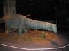 Apatosaurus adult, Scale 1/2, Replacement Value $74,000, Located in Knoxville TN, Also comes with Information Pedestal - 2