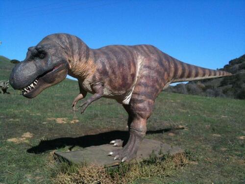 Tyrannosaurs Rex, Scale 3/5, Replacement Value $75,000, Located in Sunrise FL, Also comes with Information Pedestal