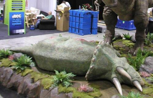 Triceratops (dead), Scale 1/1, Replacement Value $8,000, Located in Chatsworth CA