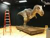 Tyrannosaurus Rex, Scles 3/4, Replacement Value $104,000, Located in Piedmont AL, Also comes with Information Pedestal