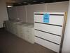 (18) 2 DRAWER FILE CABINETS AND (4) 4 DRAWER LATERALS (DELAYED PICK-UP 8-31-18) - 2