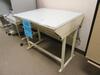 AGFA 40" X 30" LIGHT TABLE MODEL 3040 - 2