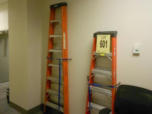 2 ASST'D 8',6' LADDERS