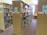 LOT ASST'D LIBRARY BOOKS, HISTORY, GEOGRAPHIC TREATMENT, BIOGRAPHY, AREA PLANNING, LANDSCAPE, ARCHITECTURE, PUBLIC BUILDINGS, BUILDINGS, DESIGN & DECORATION, WITH (5) SEC. OF DOUBLE SIDED BOOK SHELVING, (LOCATION: SHOEN LIBRARY 1ST FLOOR)