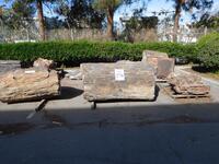 (6) PIECES OF ASST'D PETRIFIED WOOD