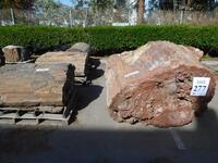 (6) PIECES OF ASST'D PETRIFIED WOOD