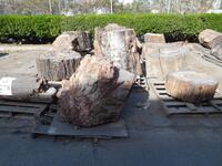 (12) PIECES OF ASST'D PETRIFIED WOOD