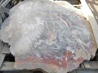 (6) PALLETS OF POLISHED PETRIFIED WOOD SLABS