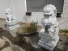 SET OF 2 CONCRETE GUARDIAN LIONS / FOO DOGS 23.5" X 60" X 33" - 4