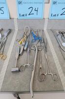 MISCELLANEOUS SURGICAL INSTRUMENTS, 15 PIECES, HAMILTON, 3RD FLOOR, RM216