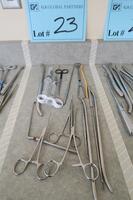 MISCELLANEOUS SURGICAL INSTRUMENTS, 15 PIECES, HAMILTON, 3RD FLOOR, RM216