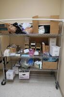 CONTENTS OF 4 SHELVES, HALLOWEEN DECORATIONS, T-SHIRTS, MISC CABLES, GLOVES, THERMAL PAPER, SONY PRINTING SUPPLIES, DISINFECTANT SPRAY, ULTRASOUND GEL, VENTRICULAR EQUIPMENT, ULTRASOUND TRANSDUCERS, SCRUBS, HAMILTON, 3RD FLOOR, RM215