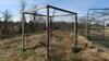 LOT, LARGE BATTING CAGE, PITCHER SAFETY NET, WOODEN NET FRAME, 2 TALL NETS AND FRAMES, SALT RIVER COMPLEX, FLOOR, RM LOWER DIAMOND - 3