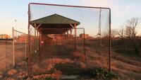 LOT, BATTING NETS, PITCHER SAFETY NET, EDELEN-HAYDON COMPLEX, FLOOR, RM UPPER DIAMOND