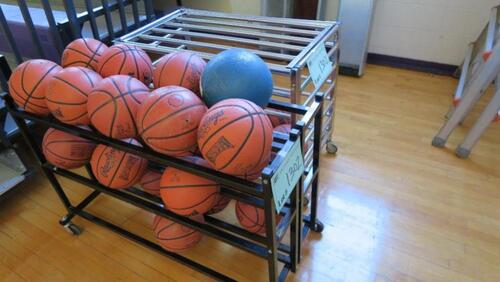 LOT, BASKET BALLS AND 2-BALL CARTS, LOURDES, UPPER FLOOR, RM GYM