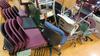 LOT, 40 MISC CHAIRS, AS SHOWN, LOURDES, UPPER FLOOR, RM GYM - 3