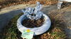 LOT, 2-SMALL CONCRETE ANGEL STATUES, CONGRETE ANGEL FOUNTAIN, LOURDES, GROUND FLOOR, RM OUTSIDE - 3