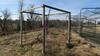 LOT, LARGE BATTING CAGE, PITCHER SAFETY NET, WOODEN NET FRAME, 2 TALL NETS AND FRAMES, SALT RIVER COMPLEX, FLOOR, RM LOWER DIAMOND - 10