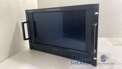 Sony LMD-A170 Full HD Professional LCD Monitor
