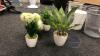 (Qty 4) Artificial plants - 2