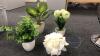 (Qty 4) Artificial plants - 3