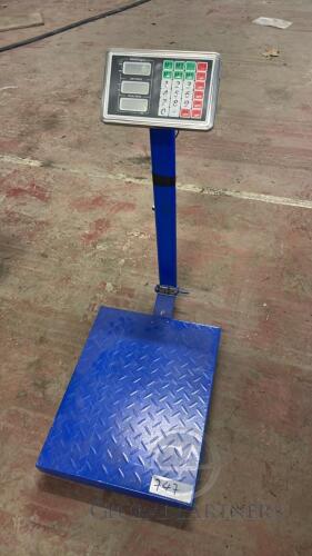 TCS SYSTEM Electronic Platform Scale; 300kg Max; 1kg Min