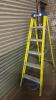 WERNER 5 Tread Fibre Glass Step Ladder