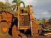 2006 CATERPILLAR D8T RAKE DOZER, VIN/SERIAL:KPZ01106, (CAUGHT ON FIRE), (HC&S No. 3240) - 5