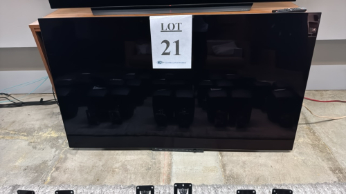 65" LG ULTRAFINE OLED PRO DISPLAY MODEL 65EPSG-B