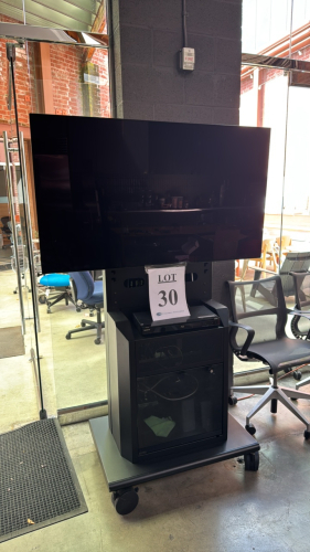 55" LG OLED TV MODEL OLED55C7P-U INCLUDES ROLLING STAND SPEAKERS AND SONY BLURAY PLAYER MODEL BDP-S360