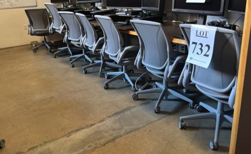 Lot of (15) human scale office chairs