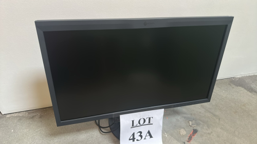 31.1" EIZO COLOREDGE LCD MONITOR MODEL CG319X