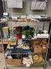 CONTENTS OF SHELVING, ASSORTED DECORATIONS, MANNEQUINS, CLOTHING, SHOES, PAINT, ETC. - 5