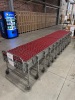 NESTAFLEX 275, 30" GRAVITY EXTENDABLE SKATEWHEEL FLEX CONVEYOR - 2