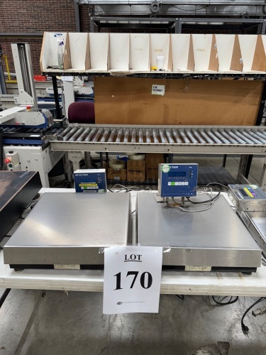 (2) METTLER TOLEDO 18" X 18" INDUSTRIAL SCALES MODEL PANTHER 300 POUND CAPACITY