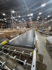 HK UHS CONVEYOR SYSTEM LINE FLOW APPROXIMATELY 1,800 FEET - 21