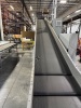 TGW CONVEYOR SYSTEM WITH SDI HCMS APPROXIMATELY 1,700 FEET - 8