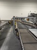 TGW CONVEYOR SYSTEM WITH SDI HCMS APPROXIMATELY 1,700 FEET - 10