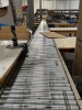 TGW CONVEYOR SYSTEM WITH SDI HCMS APPROXIMATELY 1,700 FEET - 46