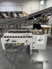BESTPACK PACKAGING SYSTEM MODEL MSBF20-2